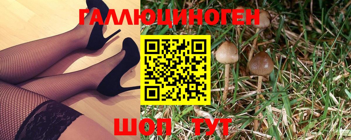 Зеленокумск  Псилоцибиновые грибы мухоморы  Вход с VPN 