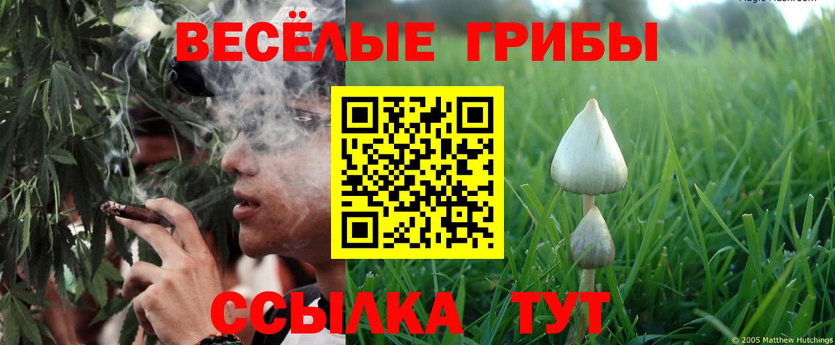 Галлюциногенные грибы прущие грибы Зеленокумск